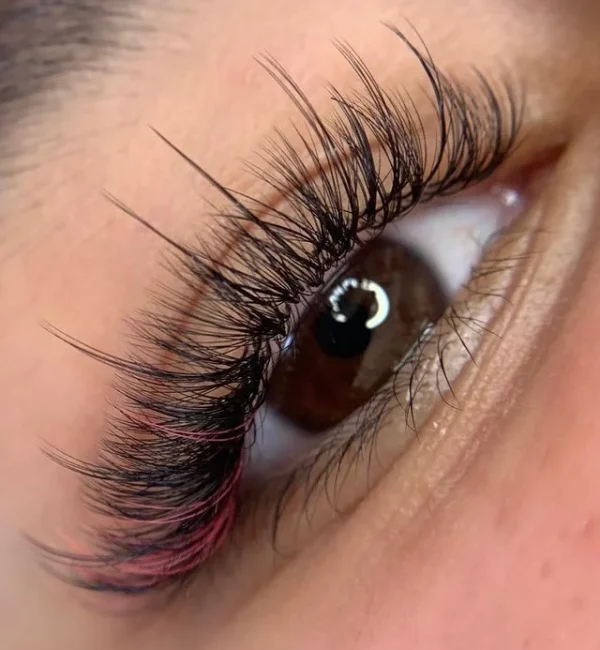 WhatsApp Image 2024-11-10 at 17.16.04